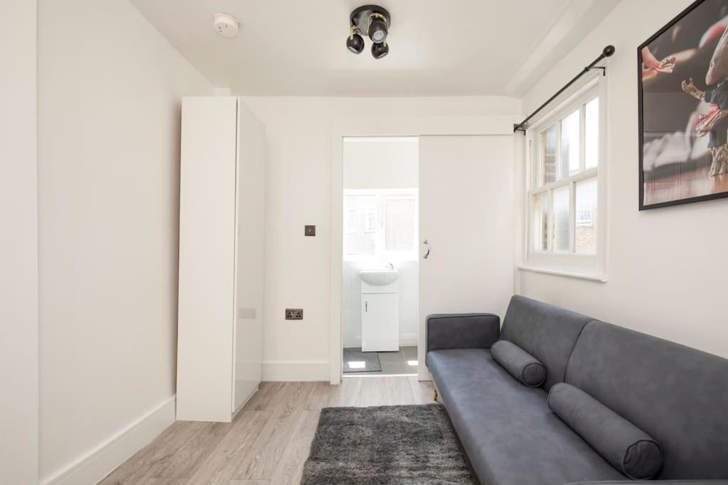 Spacious Serenity In The Heart Of Central London Bagian luar foto