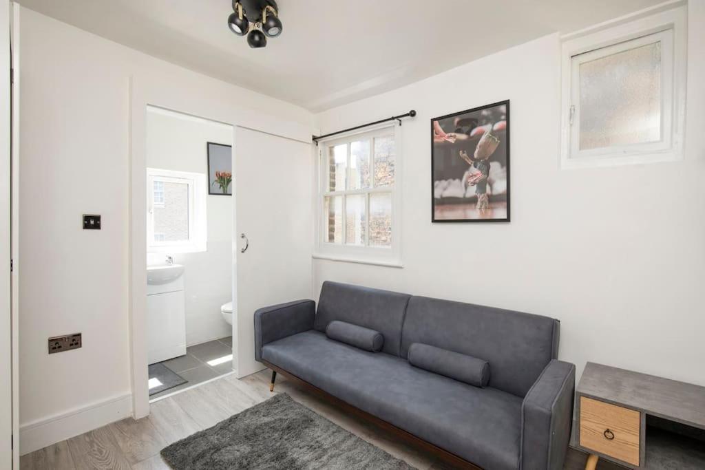 Spacious Serenity In The Heart Of Central London Bagian luar foto